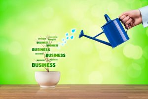 How To Grow My Business